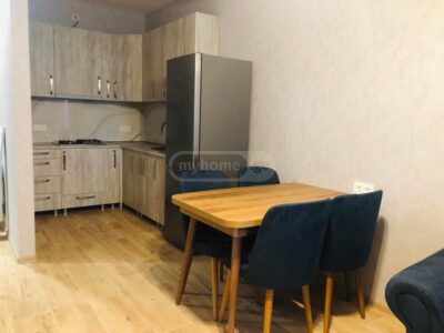 2 комнатная квартира в Дидубе
