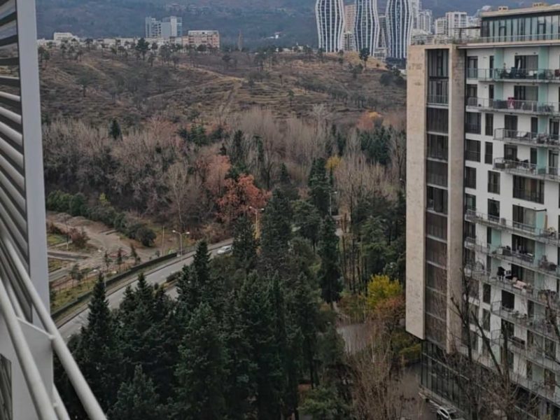 3 комнатная квартира в сабуртало
